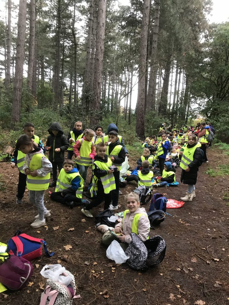 2022/10/25 - Herfstwandeling (L2A)