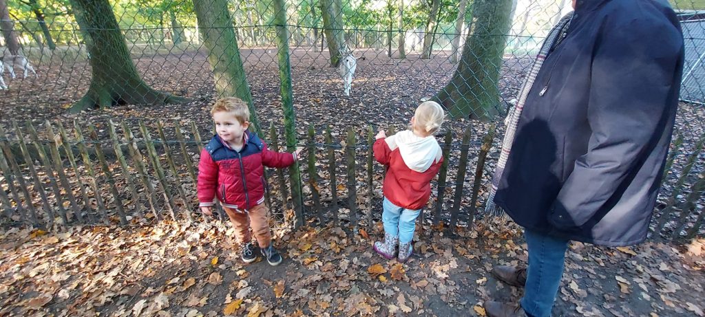 2022/10/30 - Op herfstwandeling met de grootouders (K1in)