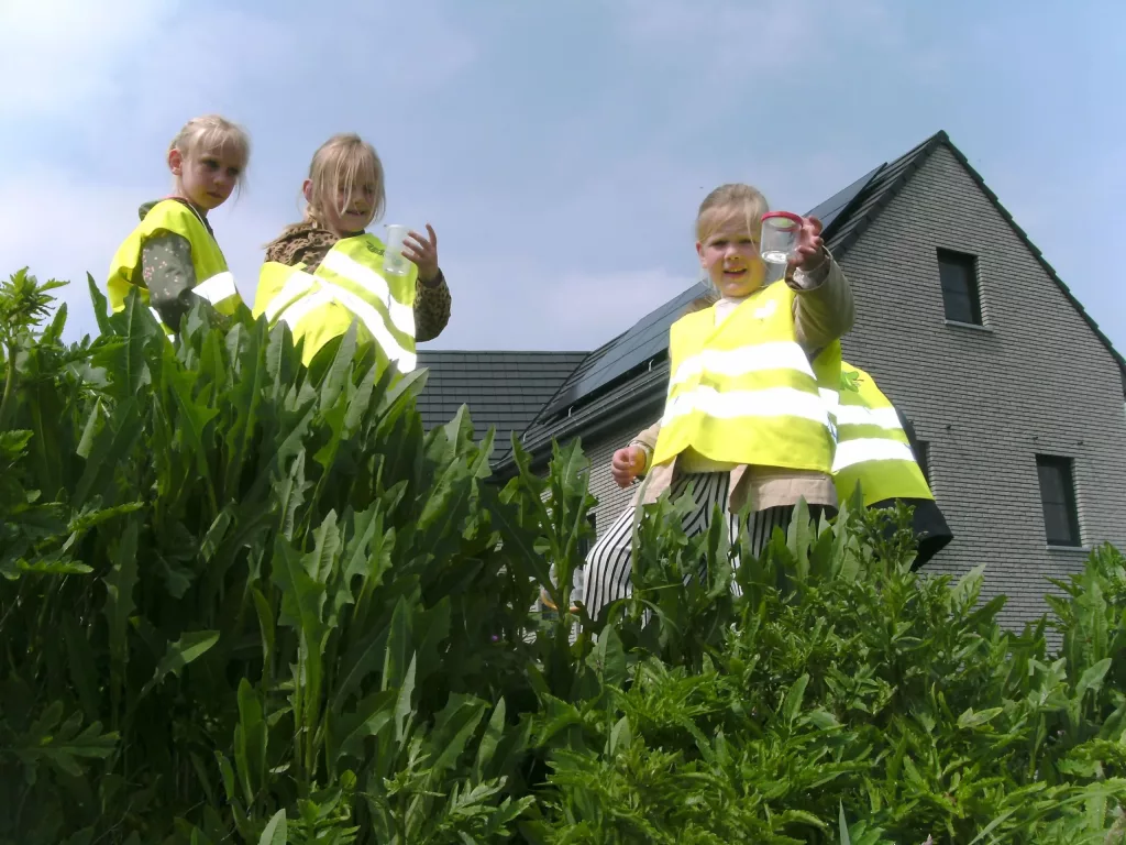 2023/05/08 - Thema : Veldbloemen (K3A)